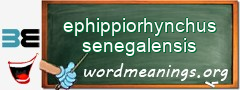 WordMeaning blackboard for ephippiorhynchus senegalensis